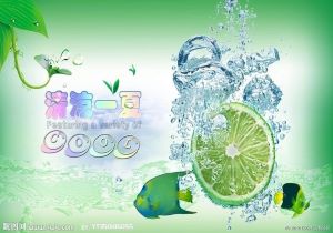 科特迪瓦女足球员迎战世界杯挑战