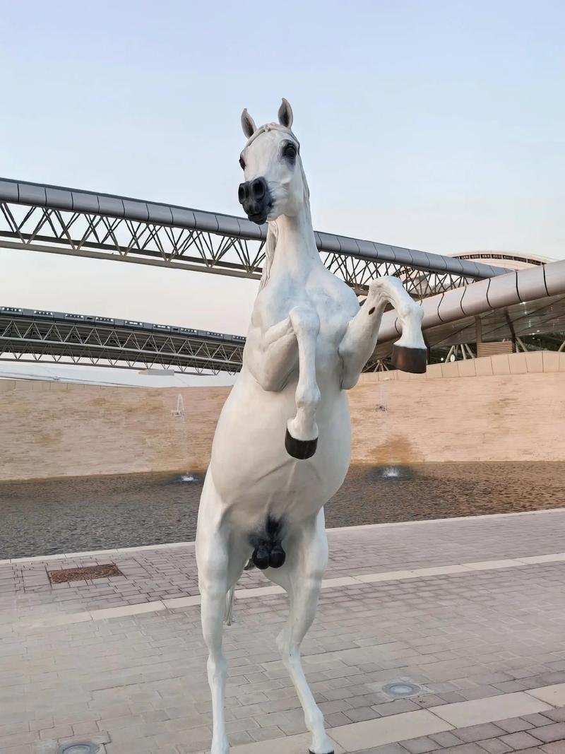 od体育网站入口-阿联酋代表团表现出色，成就传奇的简单介绍