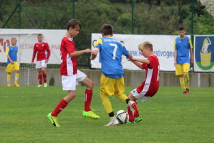 od体育娱乐-卡尔蒂斯主教练称赞球队拼搏精神,期待突破