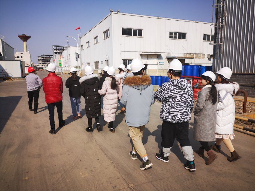 利尔队在胜利中展现团队合作力量