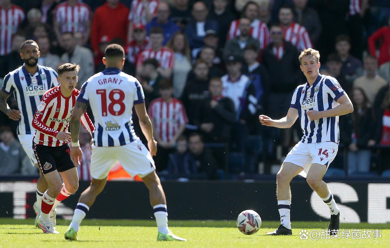 沃特福德遭遇连败,保级艰难形势