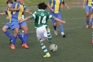 od体育竞技-阿拉维斯战胜巴伦西亚,取得突破,阿拉维vs巴伦西亚比分预测